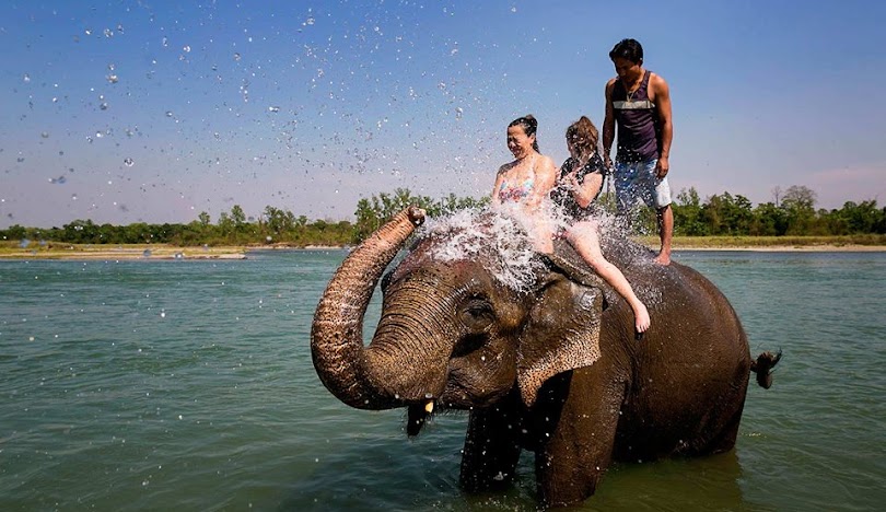 Kathmandu-heritage city with cultural tours, Chitwan: Jungle Safari